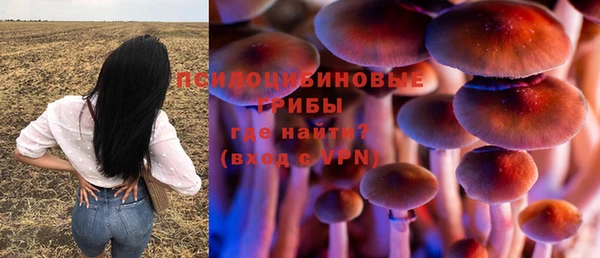 PSILOCYBIN Бородино