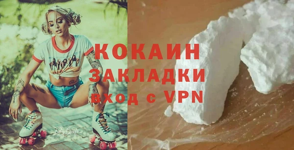PSILOCYBIN Бородино