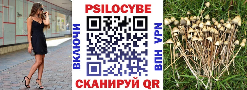 Галлюциногенные грибы мицелий  купить  сайты  Вольск 